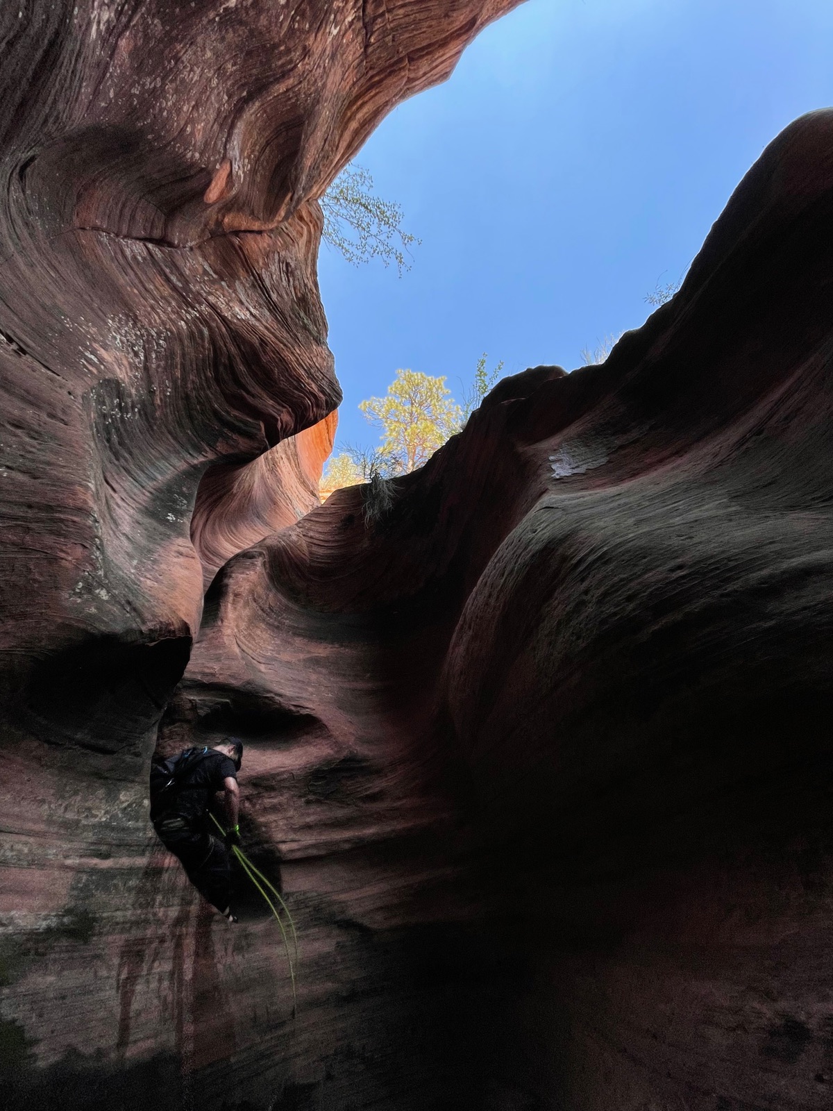 Looking up at the sky from the bottom of a slot canyon