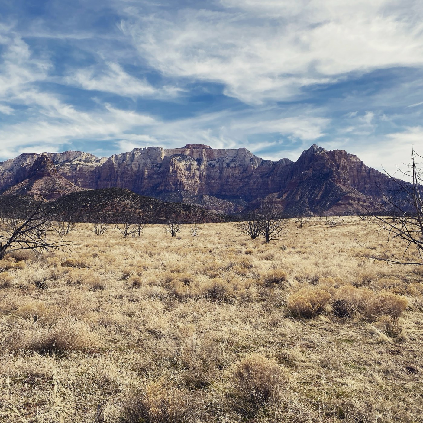 Zion cliffs above winter grassland